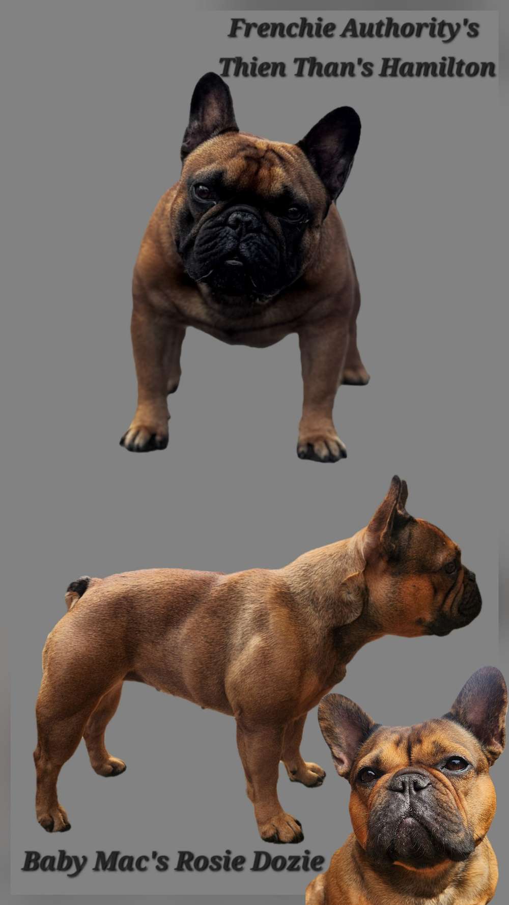 Breeding Announcement!