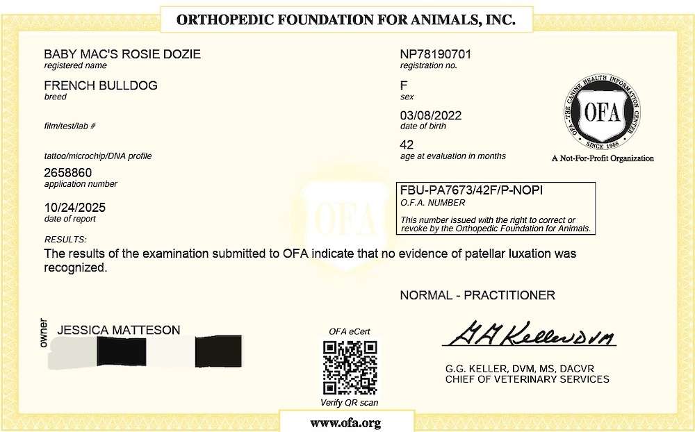 Rosie's OFA Patella Evaluation